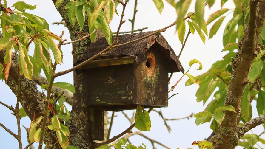 Vogelfutterhaus im privaten Garten